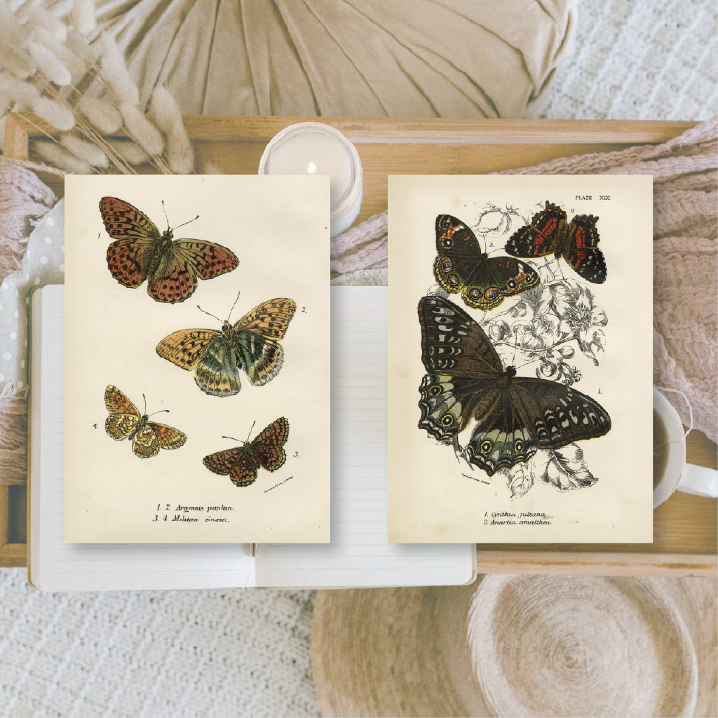 Butterflies | Ephemera paper | 7,4 x 10,5 cm | 3×8 designs