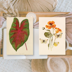 Botanicals I ephemera paper | 7,4 x 10,5 cm | 3×8 designs