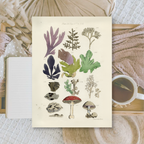 Botanicals II | Ephemera paper | 10,5x14,8 cm | 3×8 designs