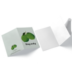 Stay zesty | A6 greeting card