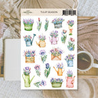 Tulip season | Stickers