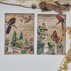 Antique garden Scrap paper | 10,5 x 14,8 cm | 3×8 designs