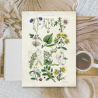 Botanicals II | Ephemera paper | 10,5x14,8 cm | 3×8 designs