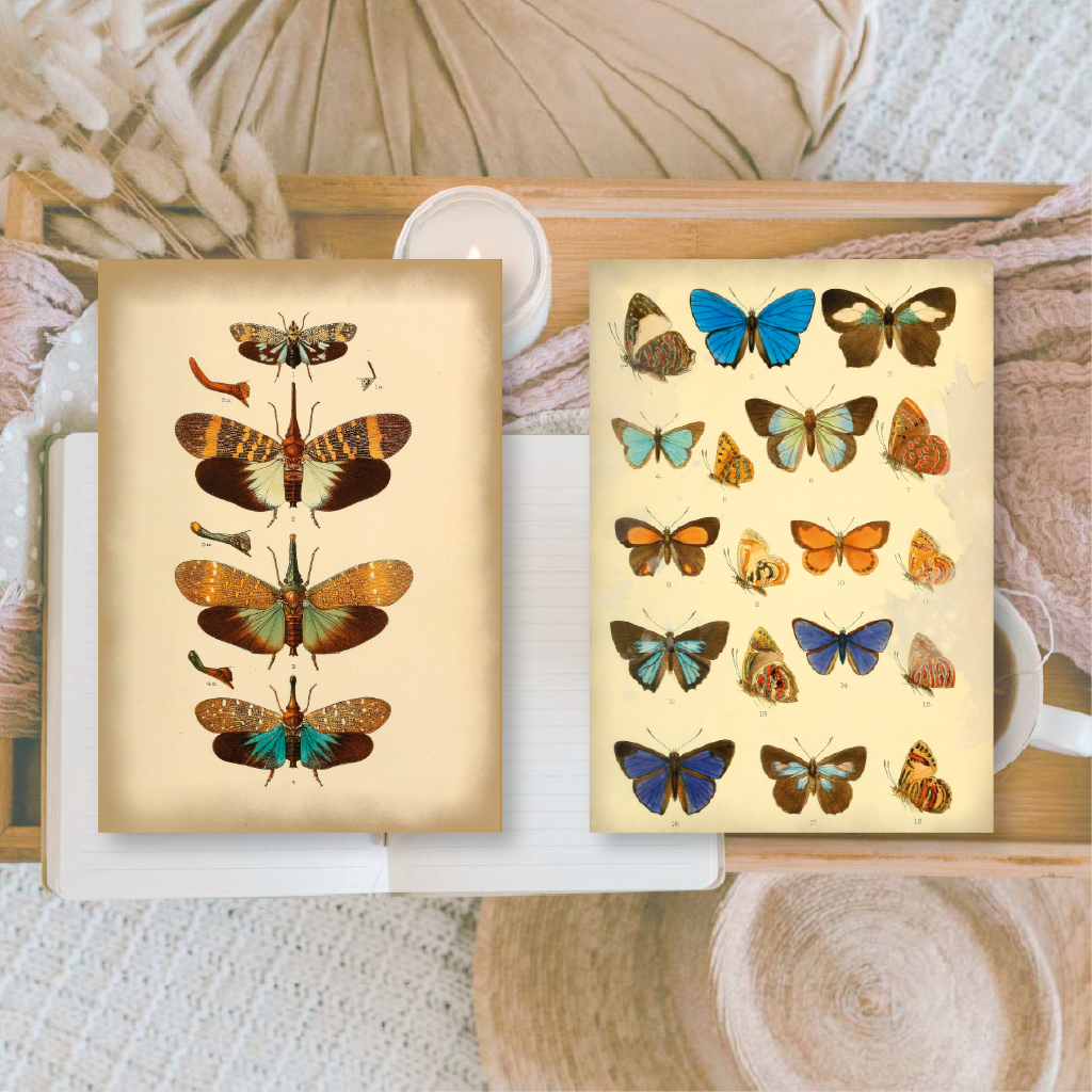 Vintage insects Scrap paper | 7,4 x 10,5 cm | 3×8 designs