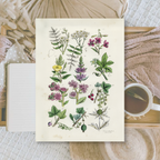 Botanicals II | Ephemera paper | 10,5x14,8 cm | 3×8 designs