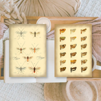 Vintage insects Scrap paper | 7,4 x 10,5 cm | 3×8 designs