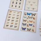 Vintage insects Scrap paper | 7,4 x 10,5 cm | 3×8 designs