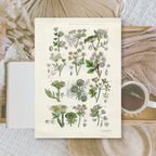 Botanicals II | Ephemera paper | 10,5x14,8 cm | 3×8 designs