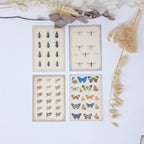 Vintage insects Scrap paper | 7,4 x 10,5 cm | 3×8 designs