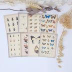 Vintage insects Scrap paper | 7,4 x 10,5 cm | 3×8 designs