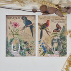 Antique garden Scrap paper | 10,5 x 14,8 cm | 3×8 designs