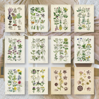 Botanicals II | Ephemera paper | 10,5x14,8 cm | 3×8 designs