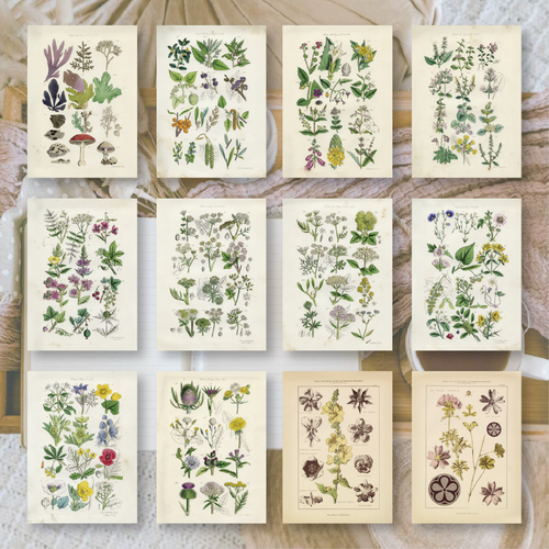 Botanicals II | Ephemera paper | 10,5x14,8 cm | 3×8 designs
