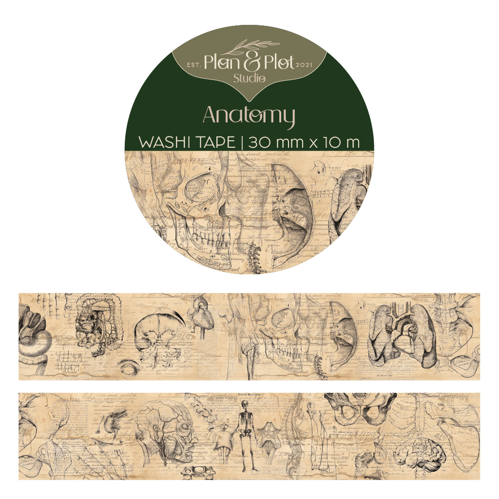 Anatomy | Washi tape