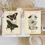 Butterflies | Ephemera paper | 7,4 x 10,5 cm | 3×8 designs