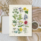 Botanicals II | Ephemera paper | 10,5x14,8 cm | 3×8 designs