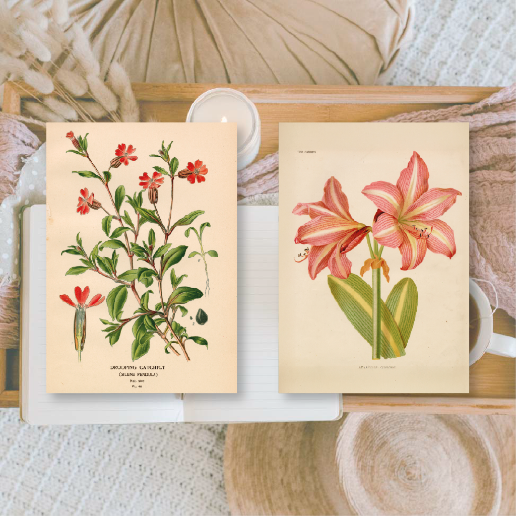 Botanicals I ephemera paper | 7,4 x 10,5 cm | 3×8 designs