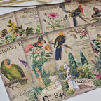 Antique garden Scrap paper | 10,5 x 14,8 cm | 3×8 designs