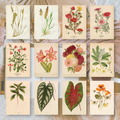 Botanicals I ephemera paper | 7,4 x 10,5 cm | 3×8 designs