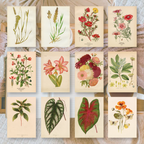 Botanicals I ephemera paper | 7,4 x 10,5 cm | 3×8 designs