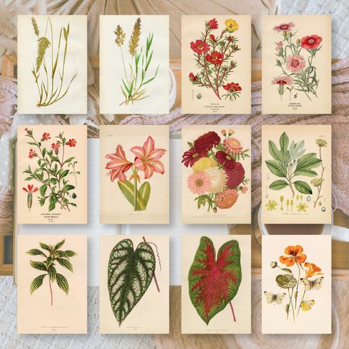 Botanicals I ephemera paper | 7,4 x 10,5 cm | 3×8 designs