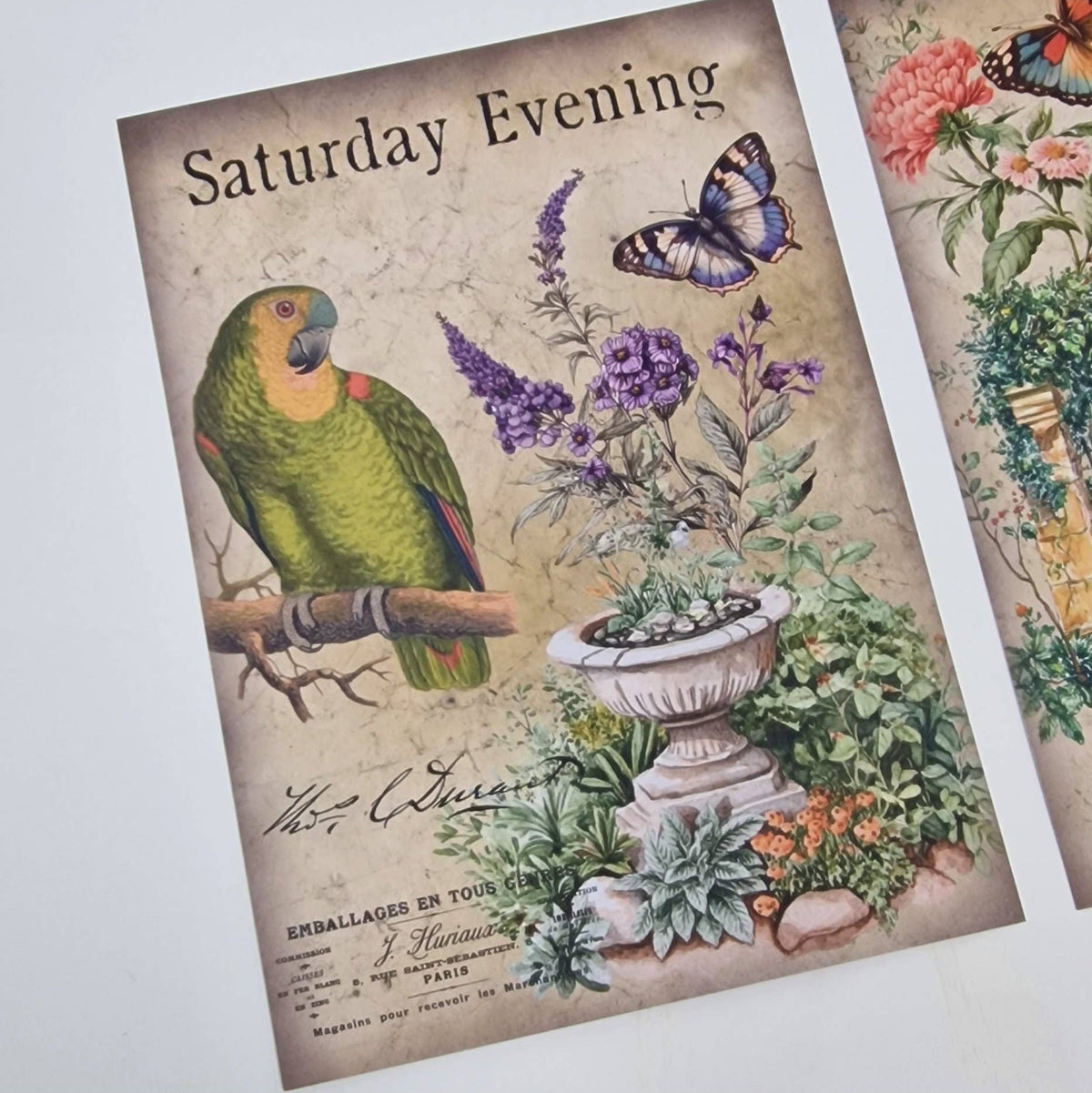 Antique garden Scrap paper | 10,5 x 14,8 cm | 3×8 designs