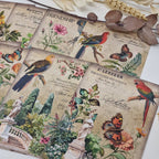 Antique garden Scrap paper | 10,5 x 14,8 cm | 3×8 designs