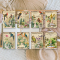 Antique garden Scrap paper | 10,5 x 14,8 cm | 3×8 designs