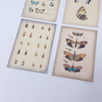 Vintage insects Scrap paper | 7,4 x 10,5 cm | 3×8 designs